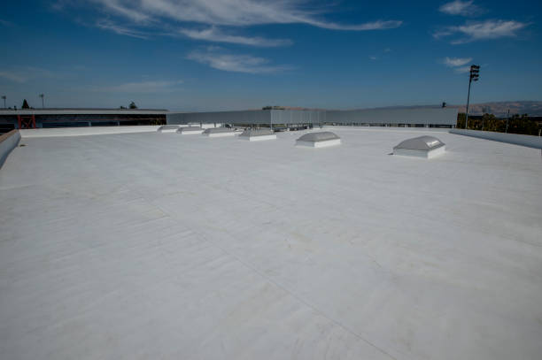 Best Sheet Metal Roofing  in Springfield, MA